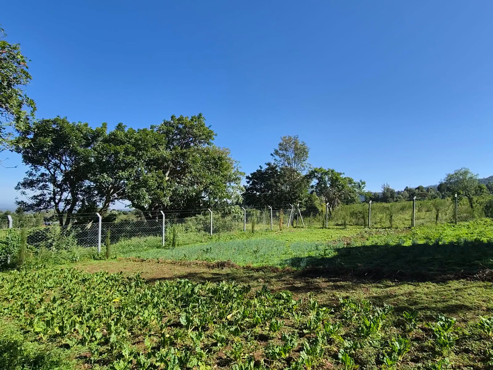 Primef 18.9-acre for sale in dundori, Nakuru Image