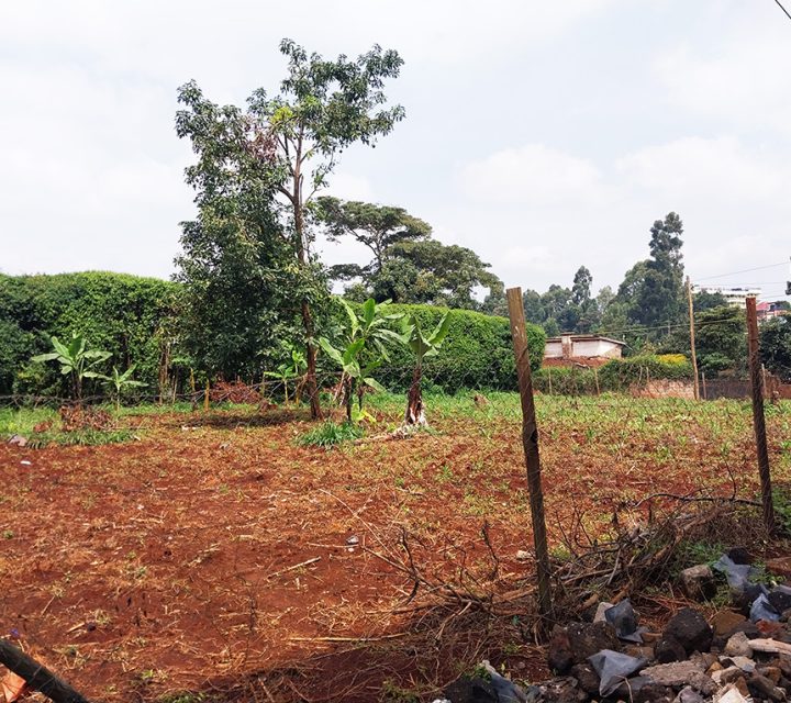 Quarter Acre Plot for Sale in Kinoo Image