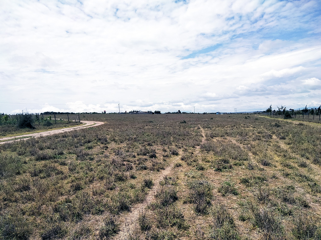 Quarter Acre Plot for Sale in Kisaju, Olturoto Area Image