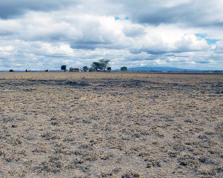 Quarter Acre Plots for Sale at Oloika, Kitengela Image