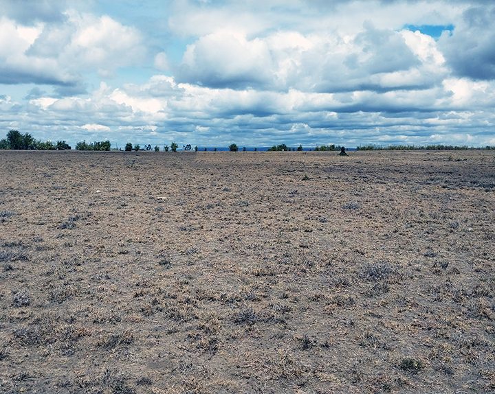 Quarter Acre Plots for Sale at Oloika, Kitengela