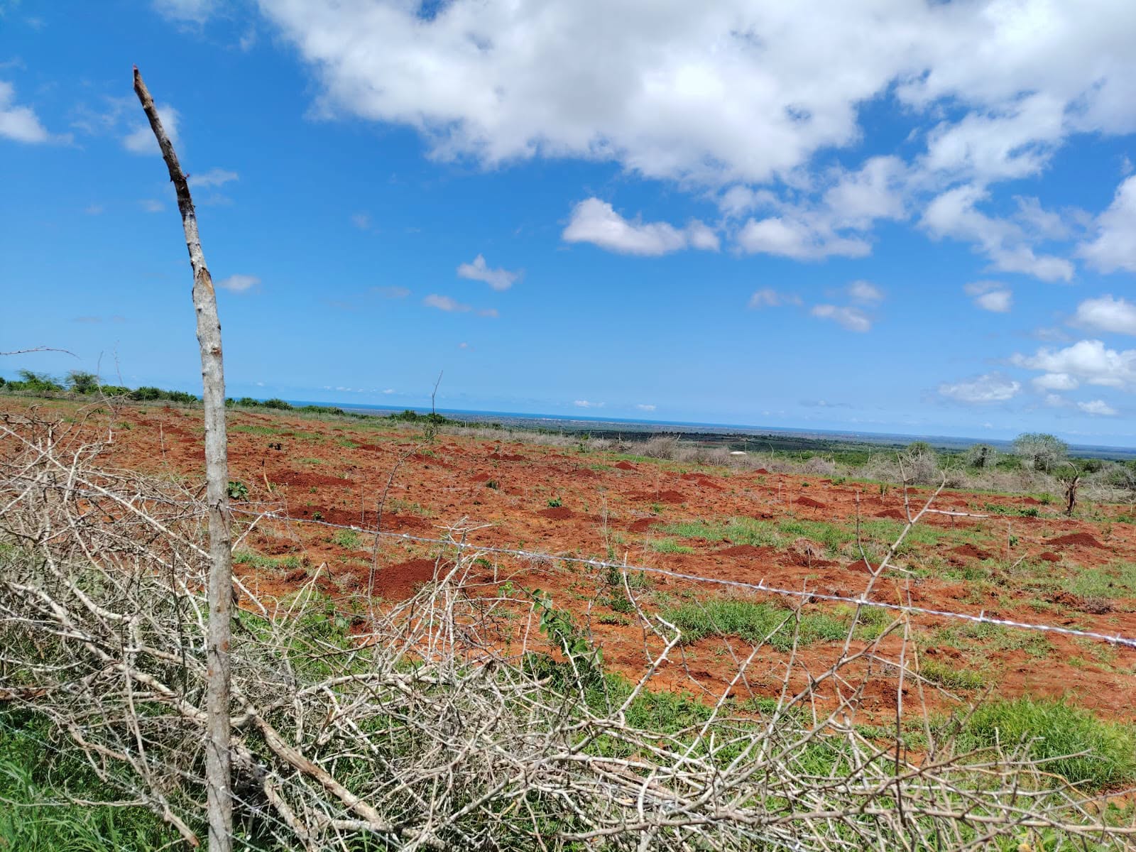 Quarter Acre(100 By 100) Plot at Oceanview Gardens in Malindi Image