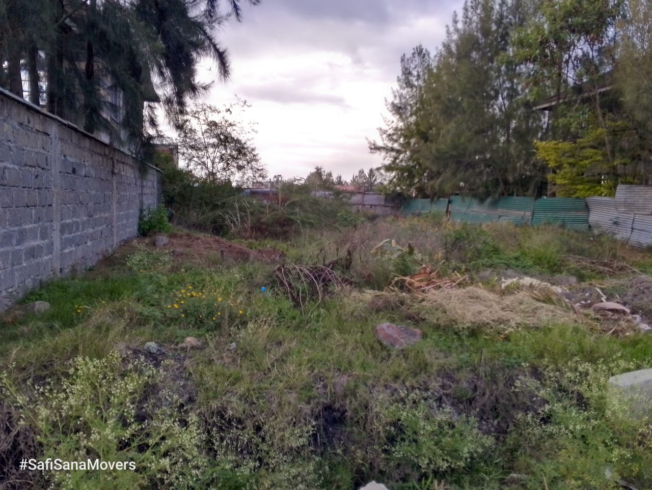 Quarter Plot For Sale in Community Rd Image