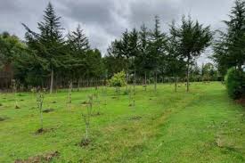 Quatre acre plot for sale in Kipipiri Nyandarua