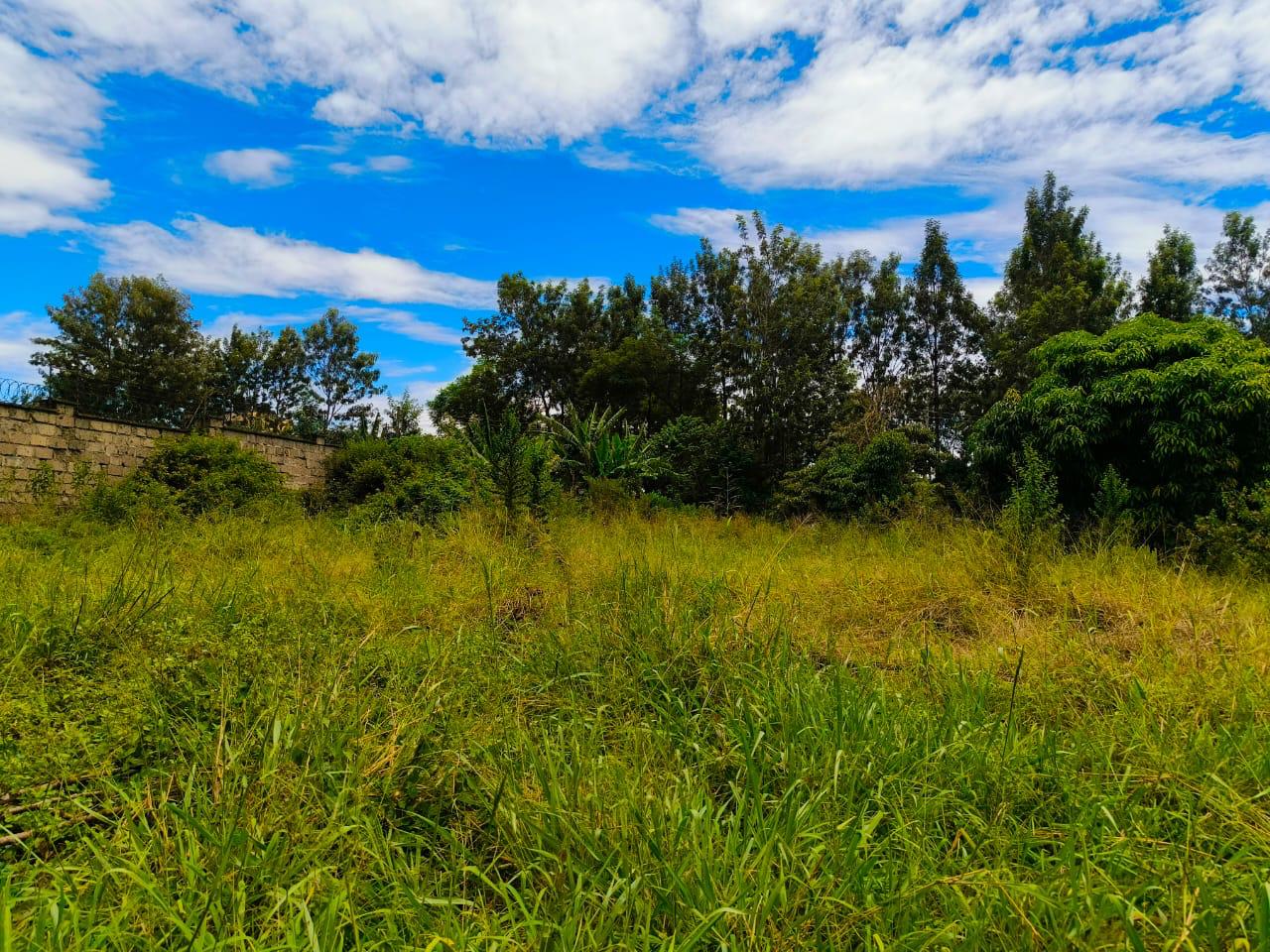 QUICK SALE: Prime 1/2 Acre Residential Plot in Cianda, KIAMBU