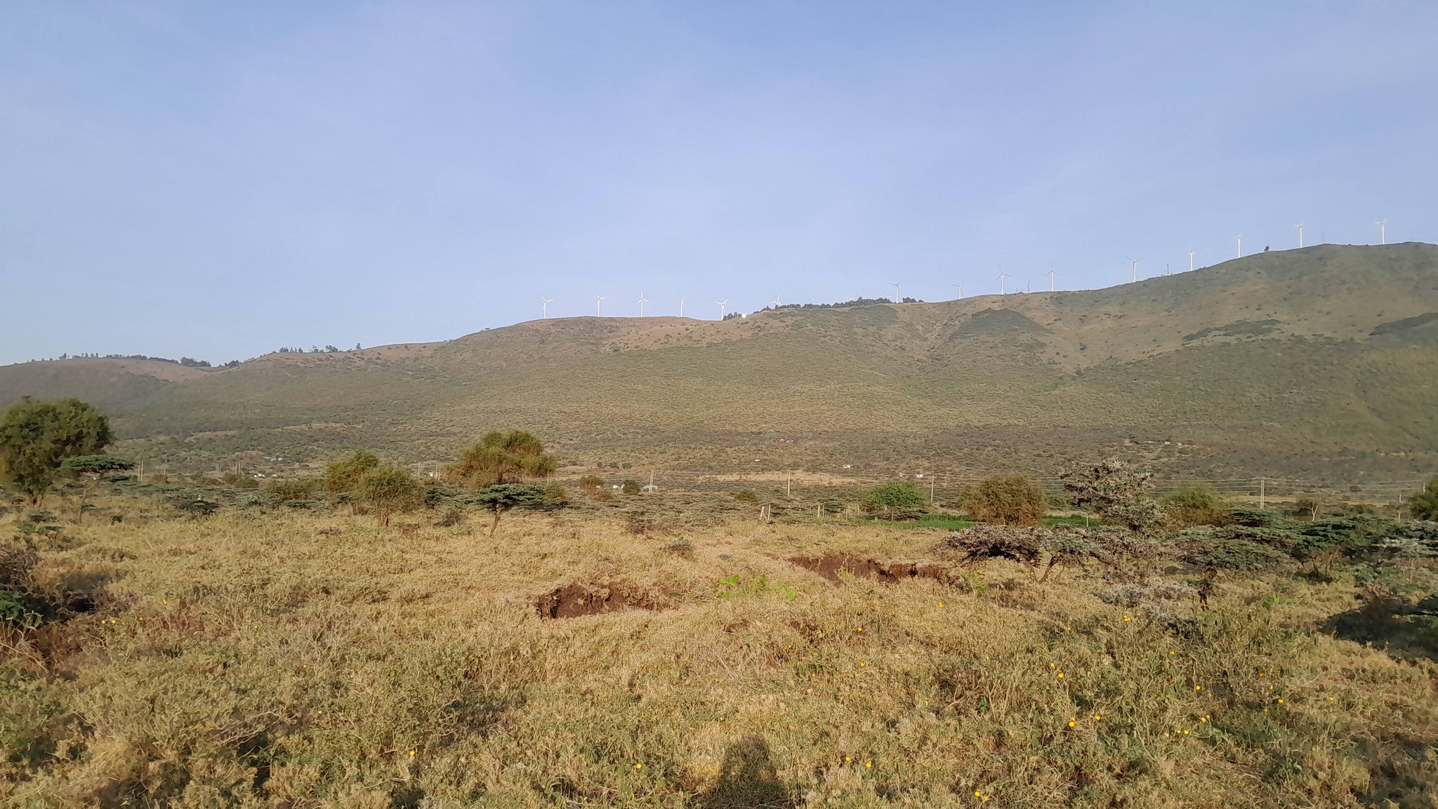 RESIDENTIAL ⅛ ACRE PLOTS FOR SALE IN KIMUKA, NGONG (KWA SAKUDA) Image