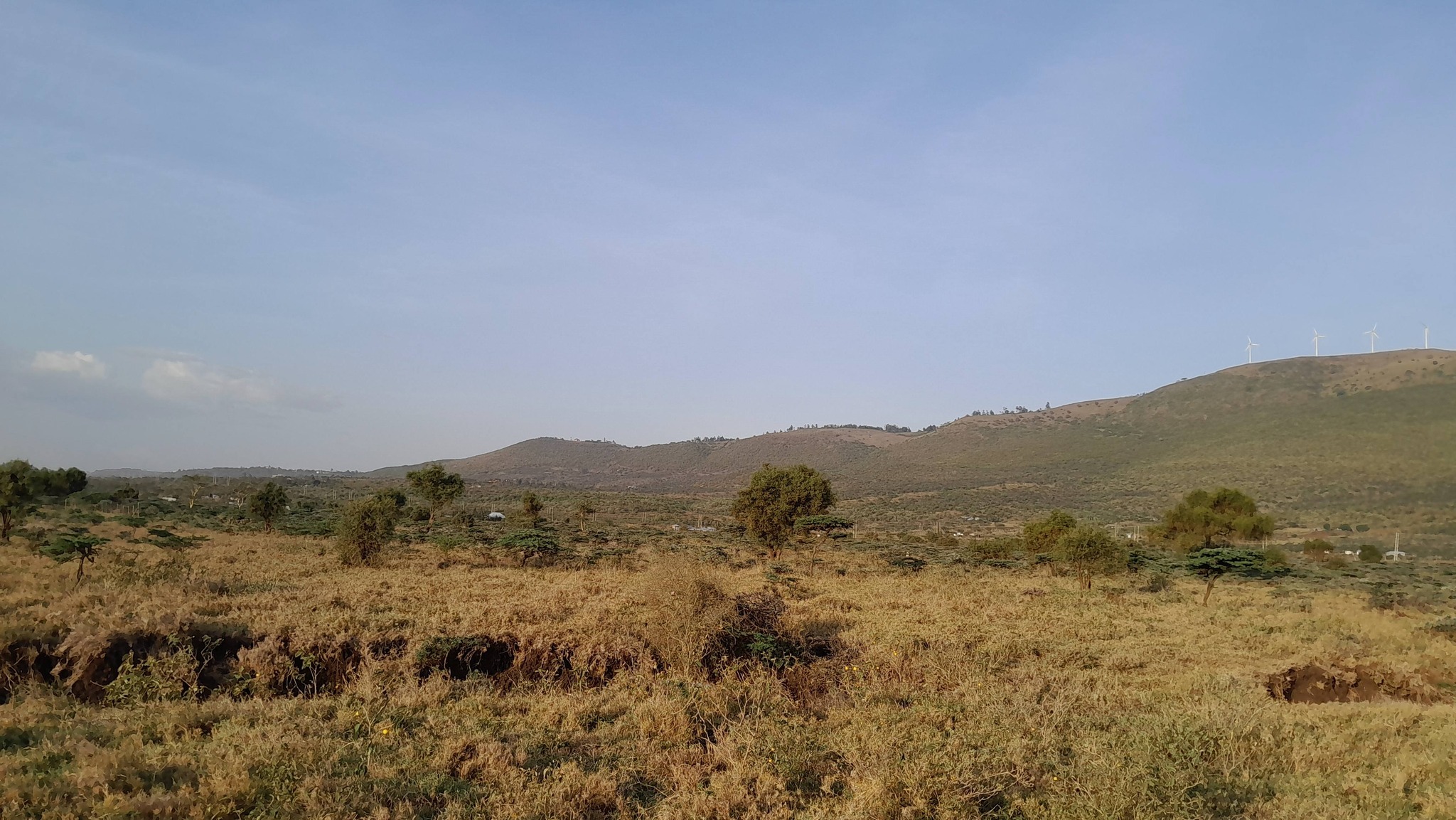 RESIDENTIAL ⅛ ACRE PLOTS FOR SALE IN KIMUKA, NGONG (KWA SAKUDA) Image