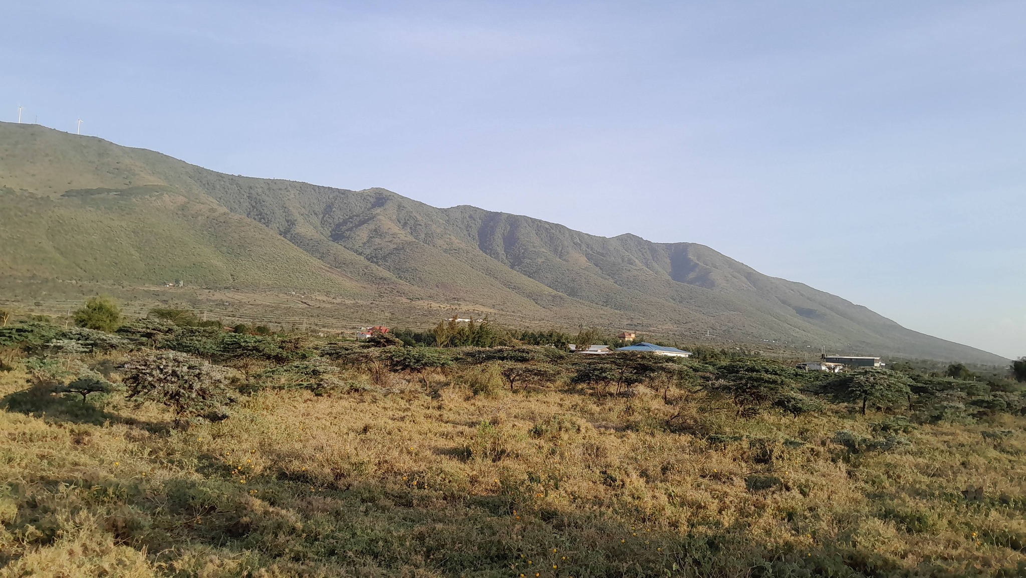 RESIDENTIAL ⅛ ACRE PLOTS FOR SALE IN KIMUKA, NGONG (KWA SAKUDA)