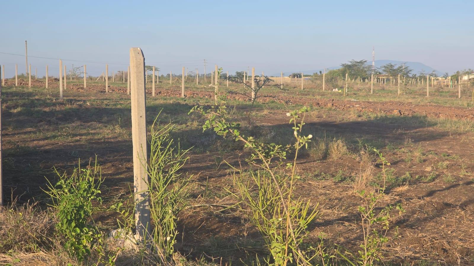 RESIDENTIAL ⅛ ACRE PLOTS FOR SALE IN KISAJU