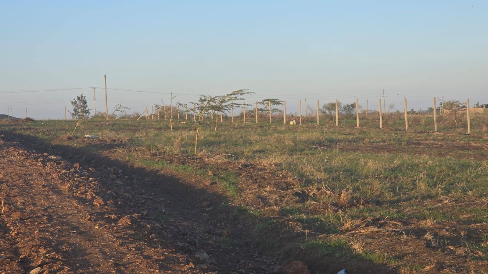 RESIDENTIAL ⅛ ACRE PLOTS FOR SALE IN KISAJU Image