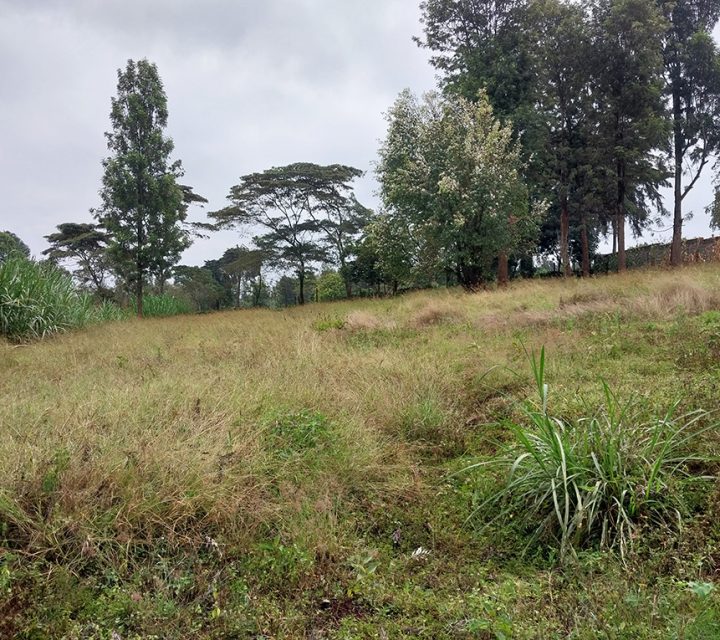 Residential Land for Sale in Kanunga, Kiambu County Image