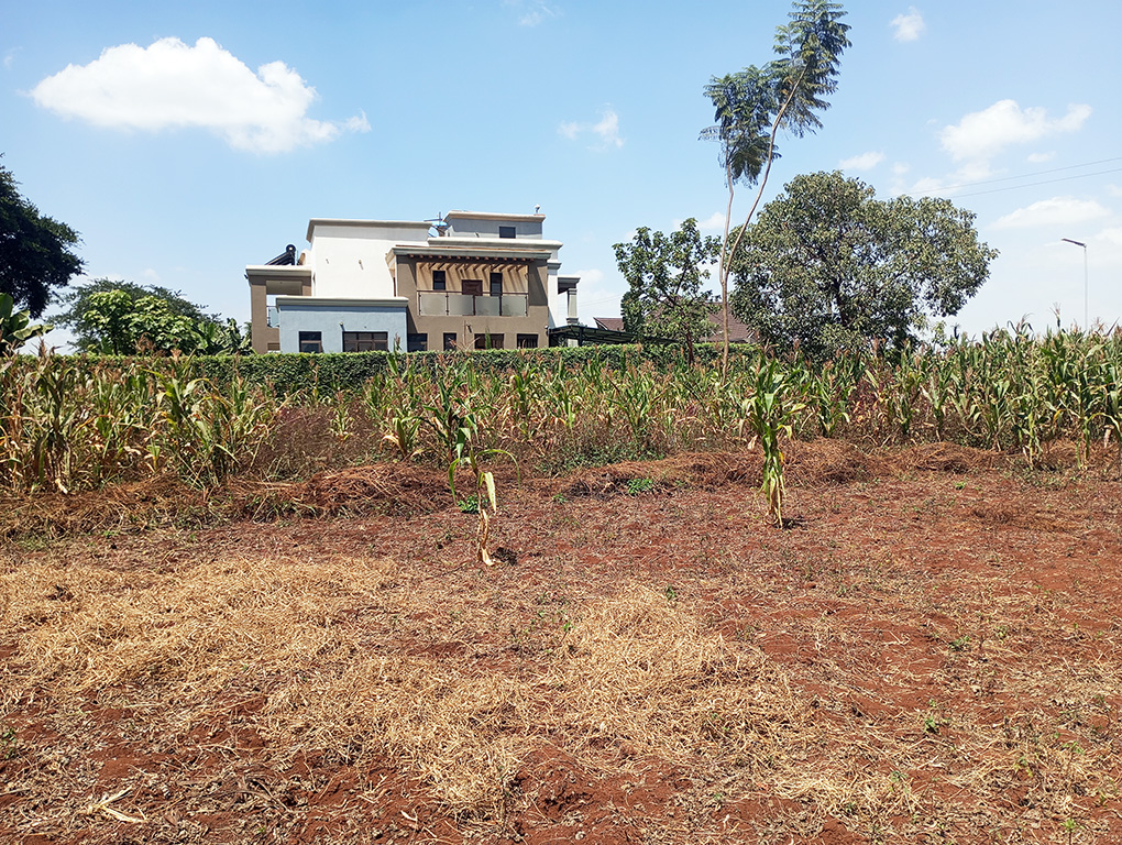 Residential Plot for Sale at Muhasibu Estate, Ruiru