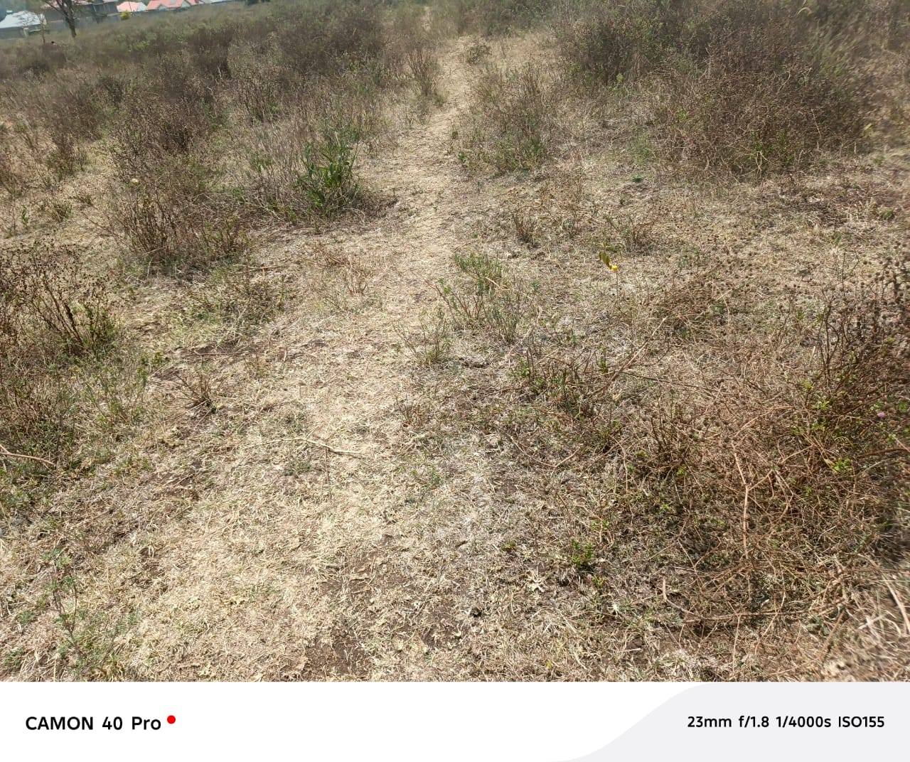 RESIDENTIAL PLOTS FOR SALE IN MATASIA, NGONG Image