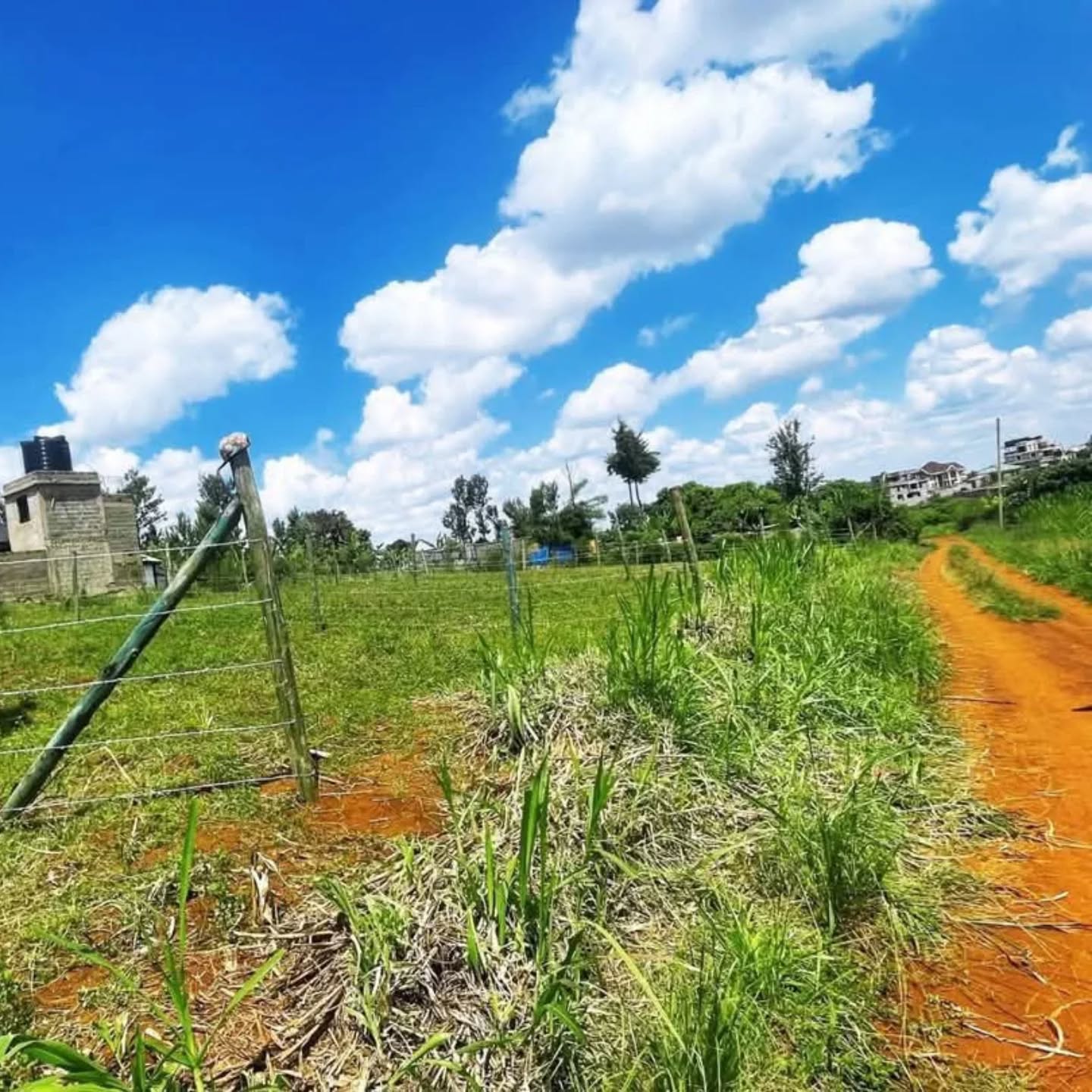 Residential Plots For Sale in Ruiru, Mugutha in Green Ridges Estate Image