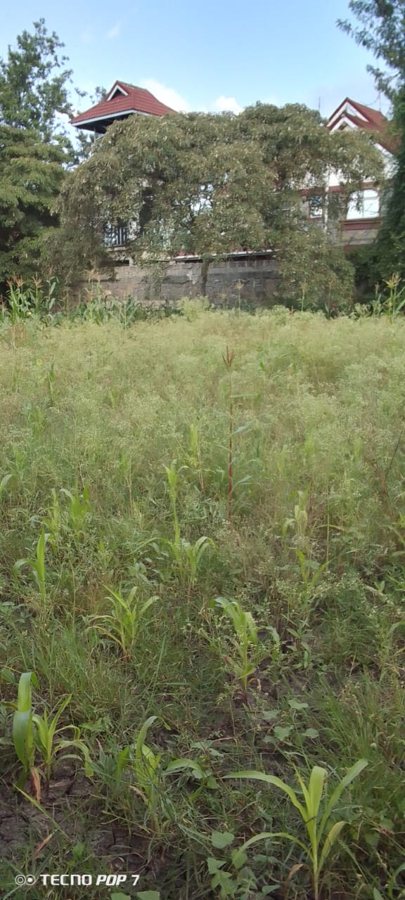 Ruai Plot for Sale Image