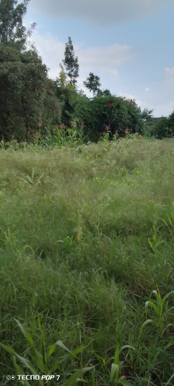 Ruai Plot for Sale Image