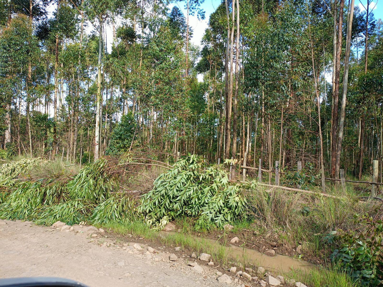 School on lease Kikuyu undiri touching undiri-Kamangu Tarmac