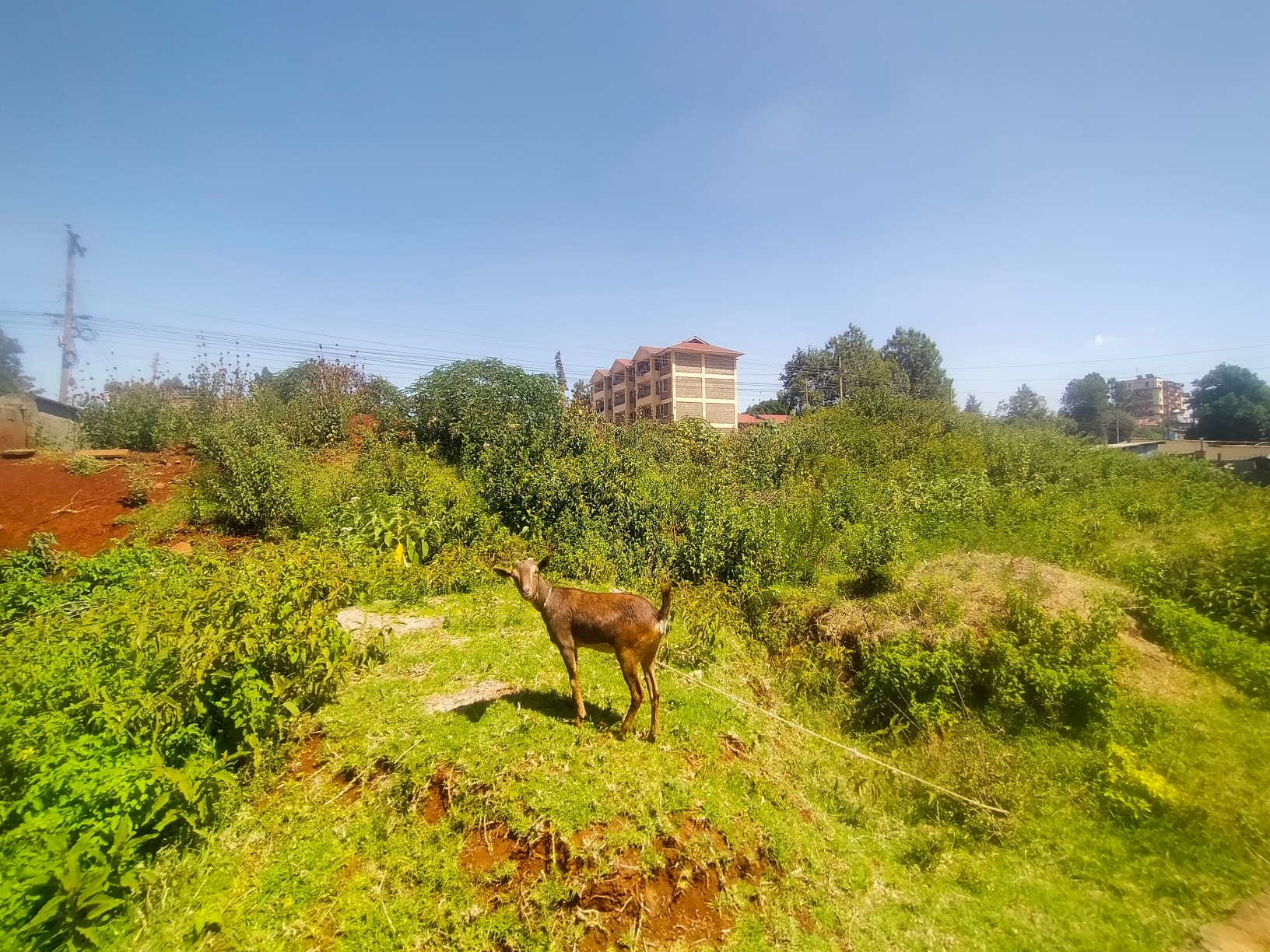 shell petrol station 100 x 100 plot for sale near Gikambura Image