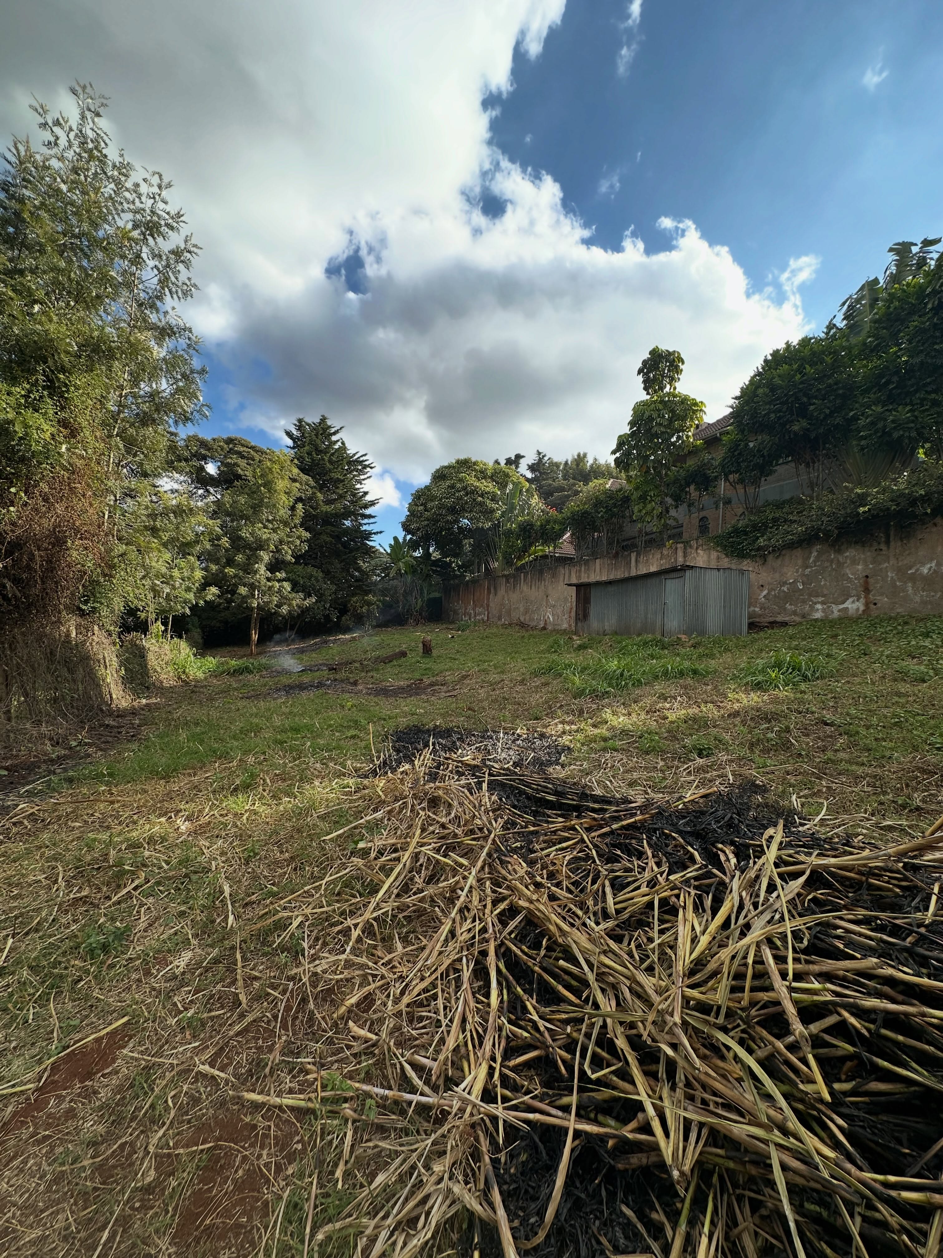 slightly bigger than 1/4 acre for sale in kerarapon drive Image