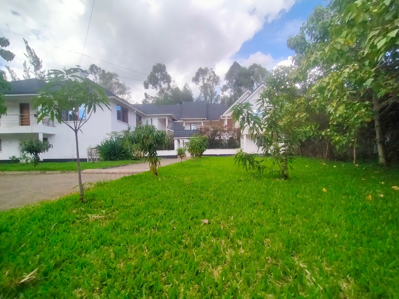 Spacious 1 bedroom mini apartment to let in Karen Image