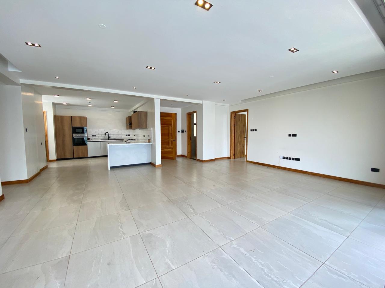 Spacious 3 bedroom Apartment + DSQ To Let in Spring Valley