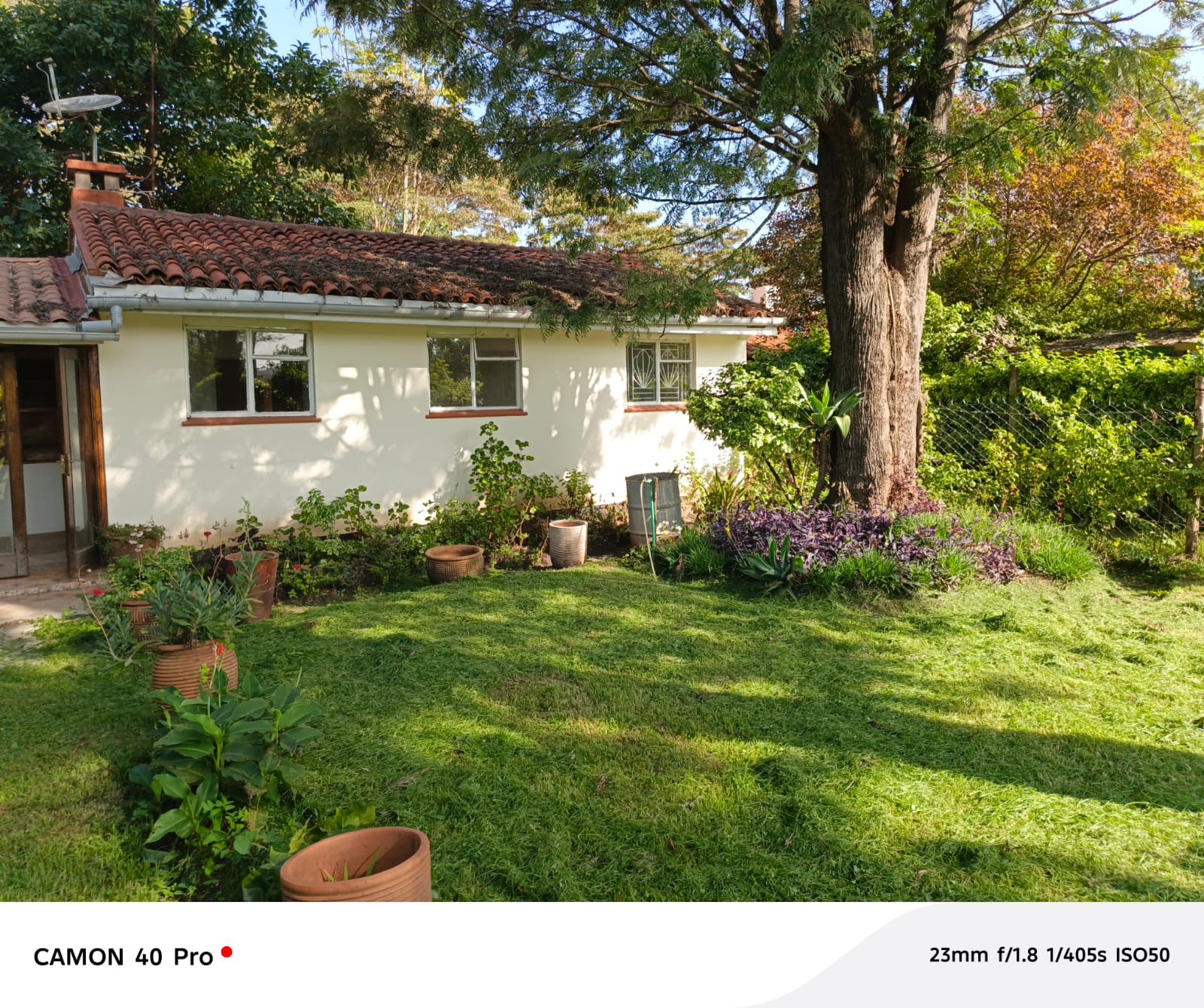 Spacious 3 Bedroom Bungalow To Let in Hurlingham, Statehouse Road Image