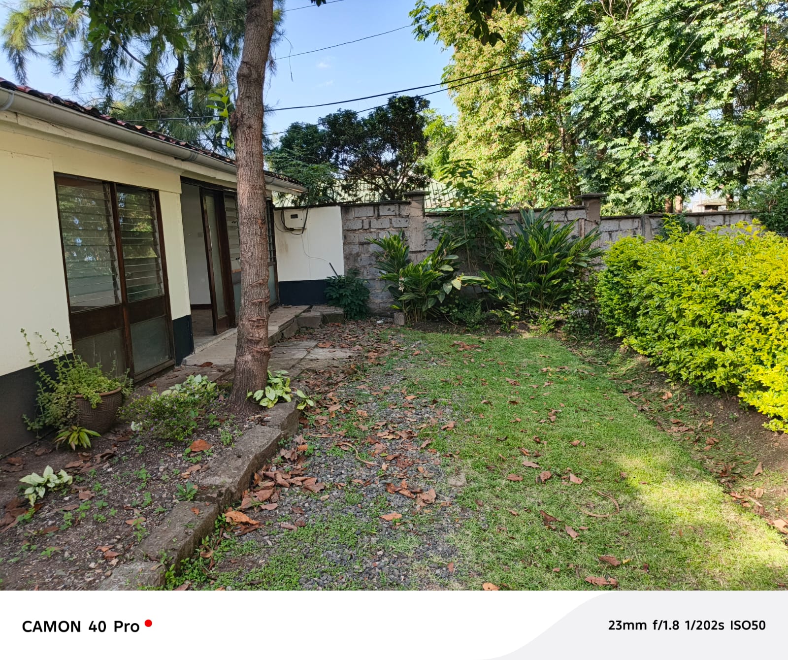 Spacious 3 Bedroom Bungalow To Let in Hurlingham, Statehouse Road Image