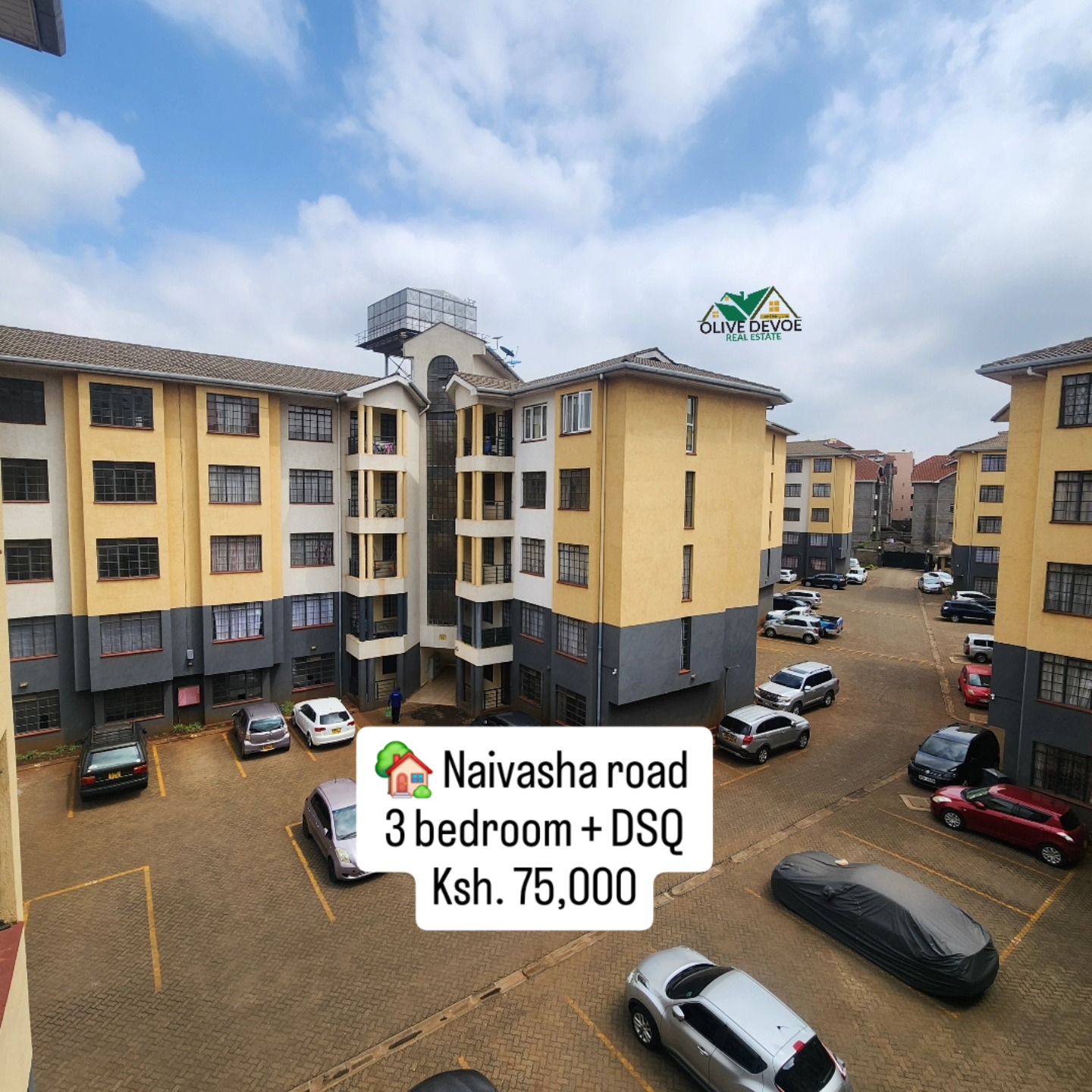 Spacious 3 bedroom + dsq apartment for rent in Naivasha Road