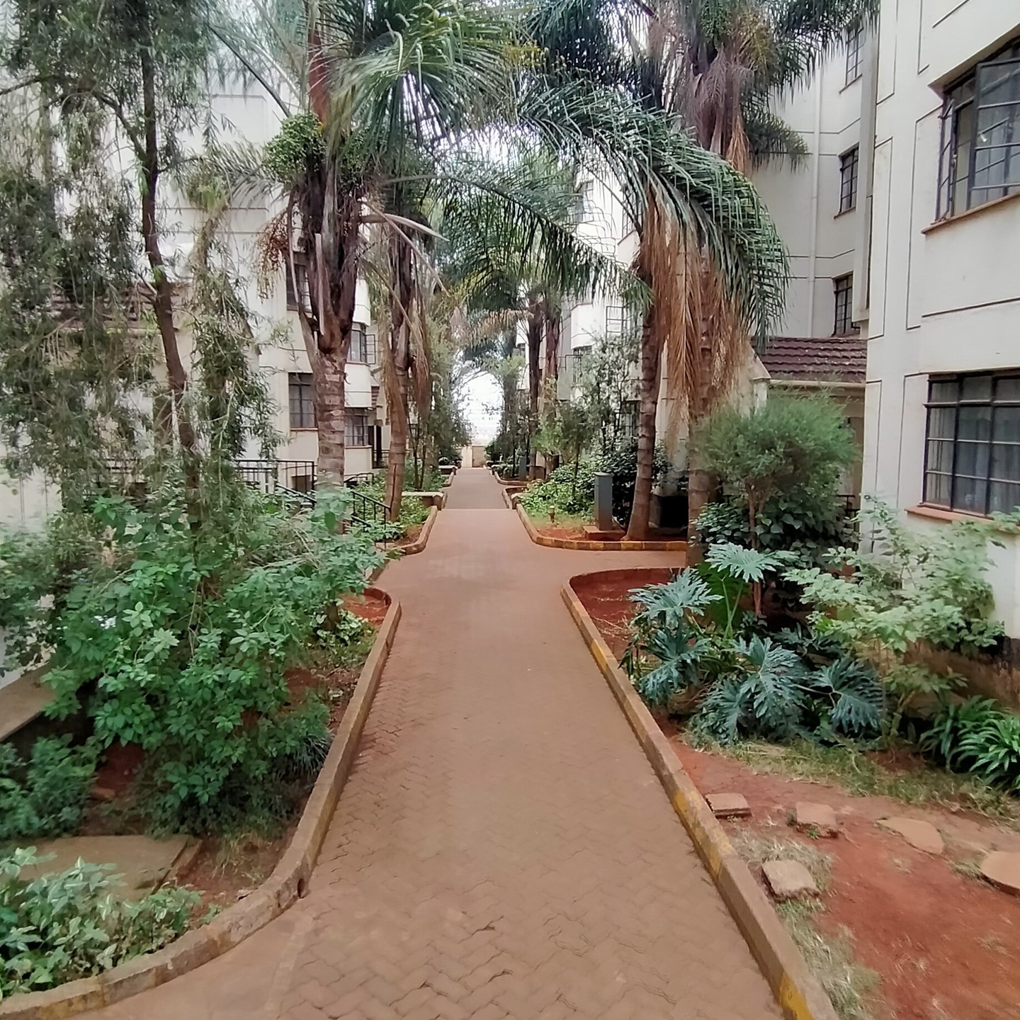 spacious 3 bedrooom apartment to let in Langata