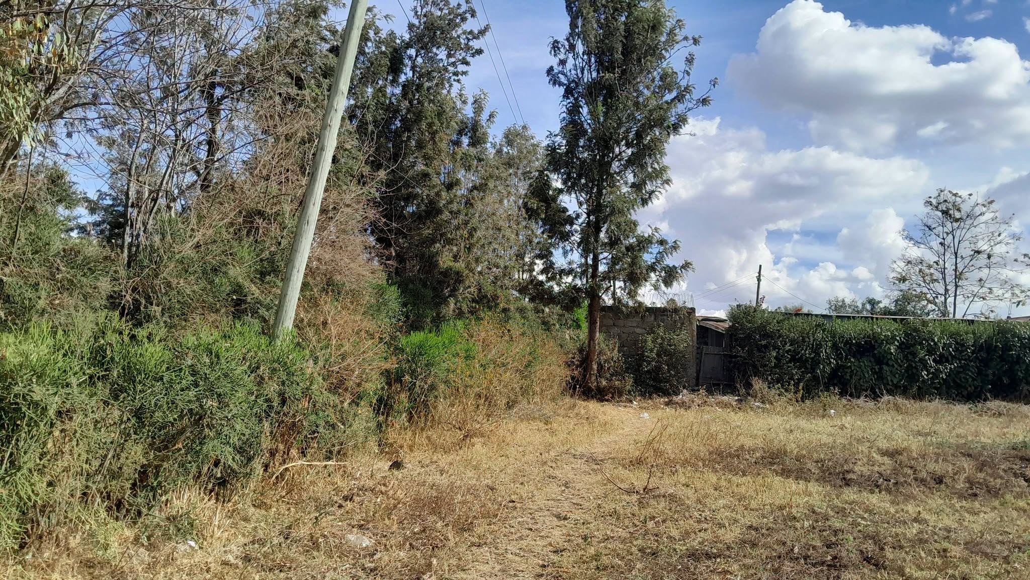Spacious ¼ Acre Plot for sale in kandisi, ongata rongai