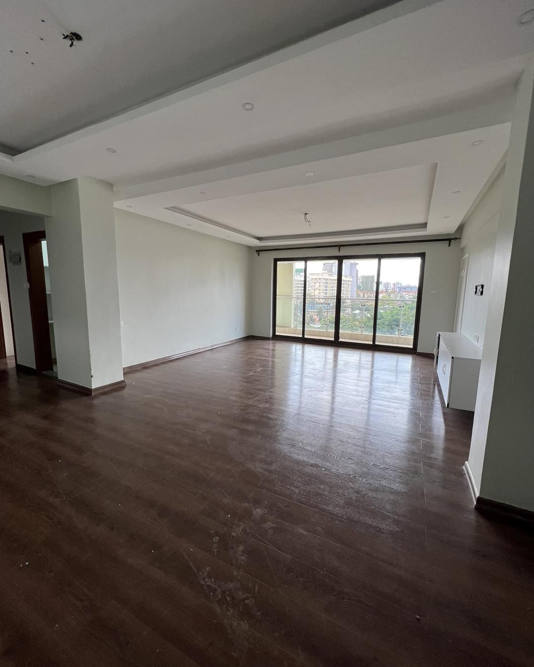 Spacious modern 3 bedroom plus dsq apartment to let in kilimani