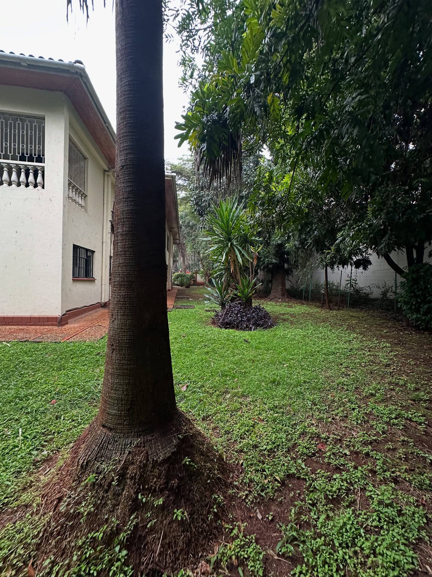 STANDALONE OFFICE SPACE / HOME FOR RENT – Kileleshwa Image