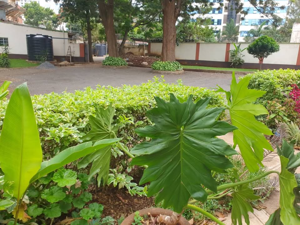 Standalone Office To Let in Westlands Image