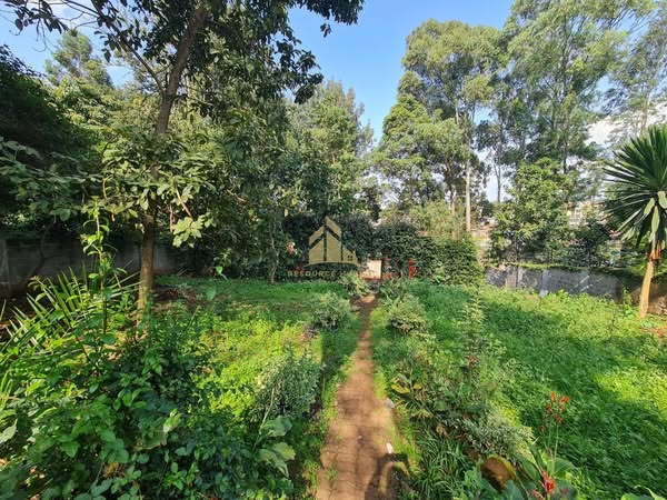 Stunning 4 Bedroom Bungalow Plus DSQ For Rent in Loresho