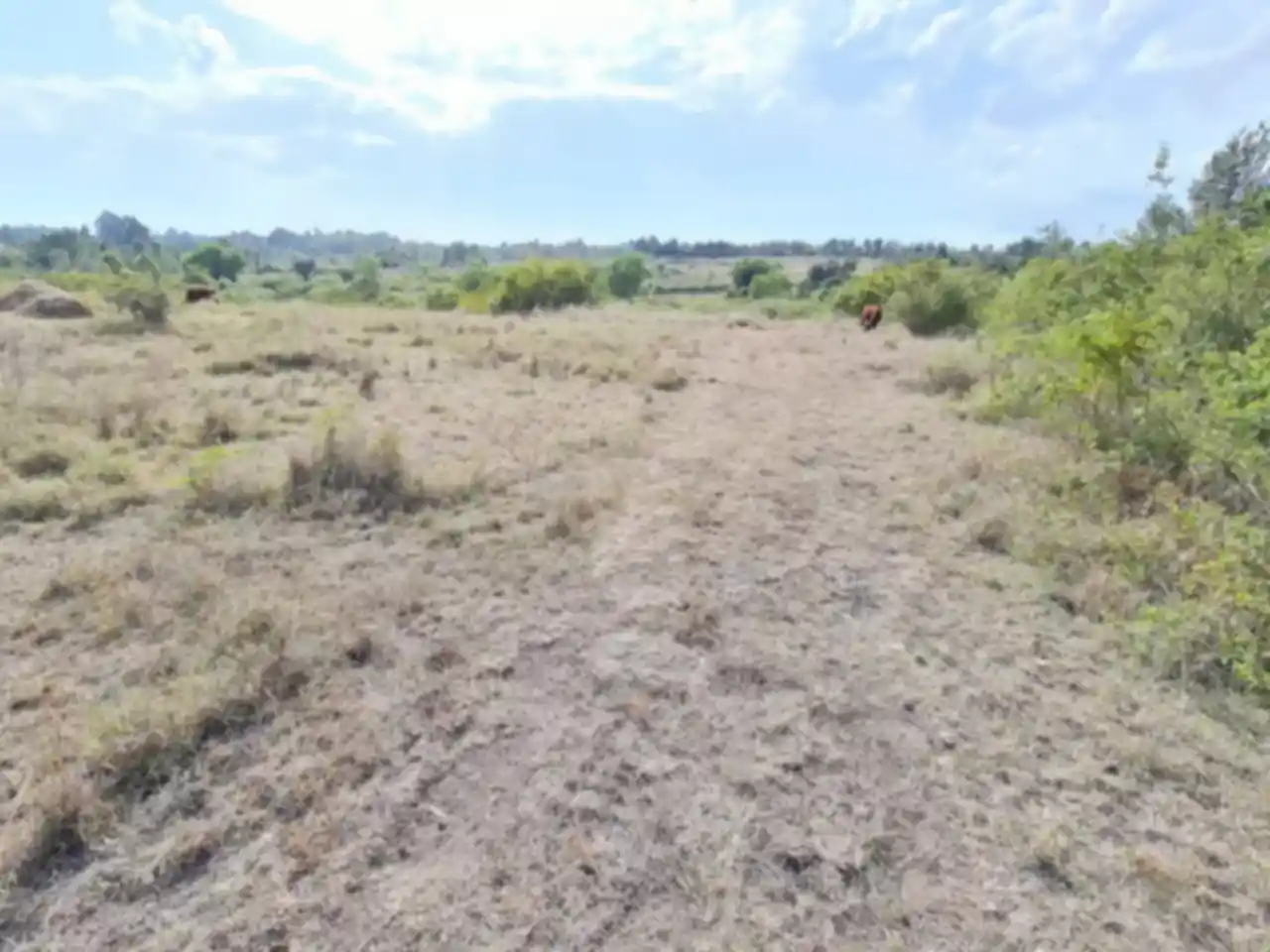 24 acres for sale in Kiserian Pipeline road Image
