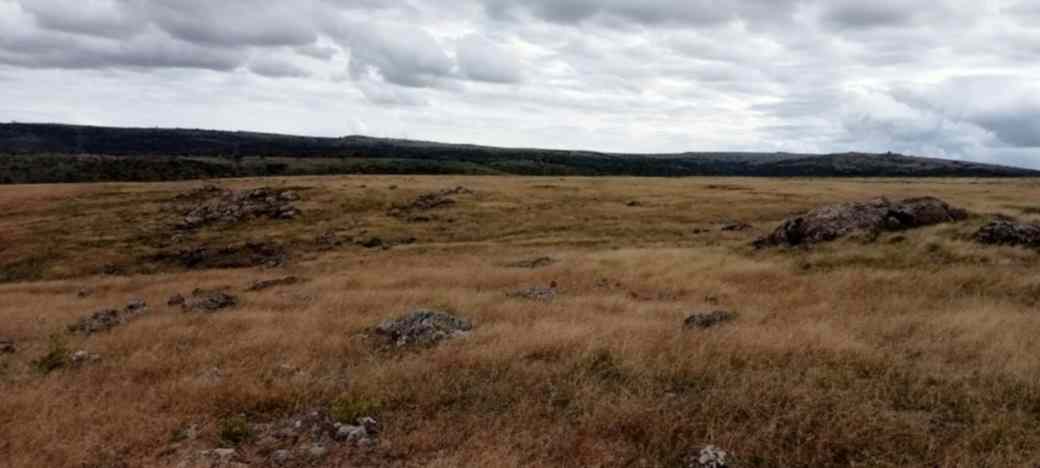 4 ACRES LAND FOR SALE IN ISINYA, KAJIADO COUNTY Image