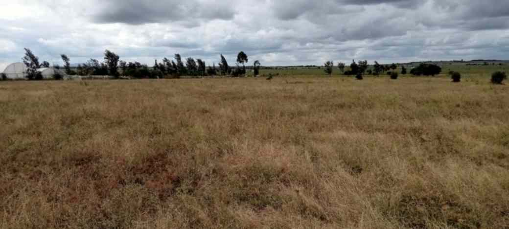 PRIME 3 ACRES LAND FOR SALE IN ISINYA, KAJIADO COUNTY Image