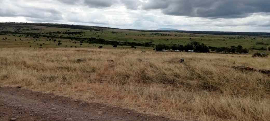 5 ACRES LAND FOR SALE IN ISINYA, KAJIADO COUNTY Image