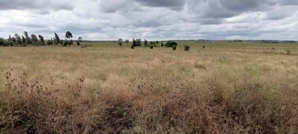 5 ACRES FARM LAND FOR SALE IN ISINYA, KAJIADO COUNTY Image