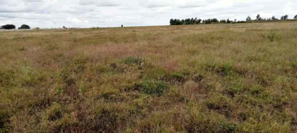 5 ACRES FARM LAND FOR SALE IN ISINYA, KAJIADO COUNTY Image