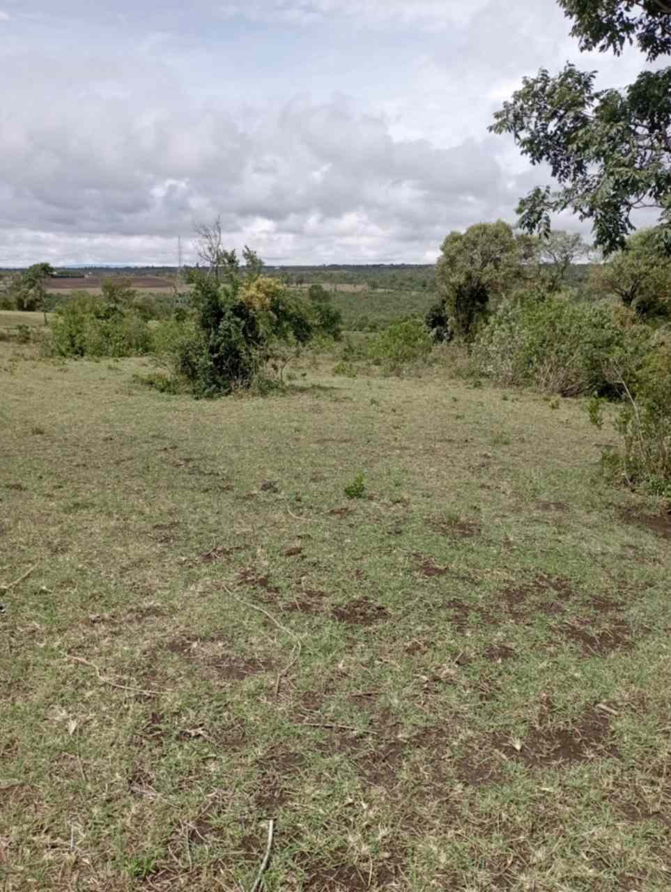 10 acre land with a farmhouse for lease in Narok