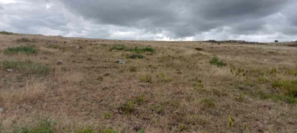 4 ACRES LAND FOR SALE IN ISINYA, KAJIADO COUNTY Image