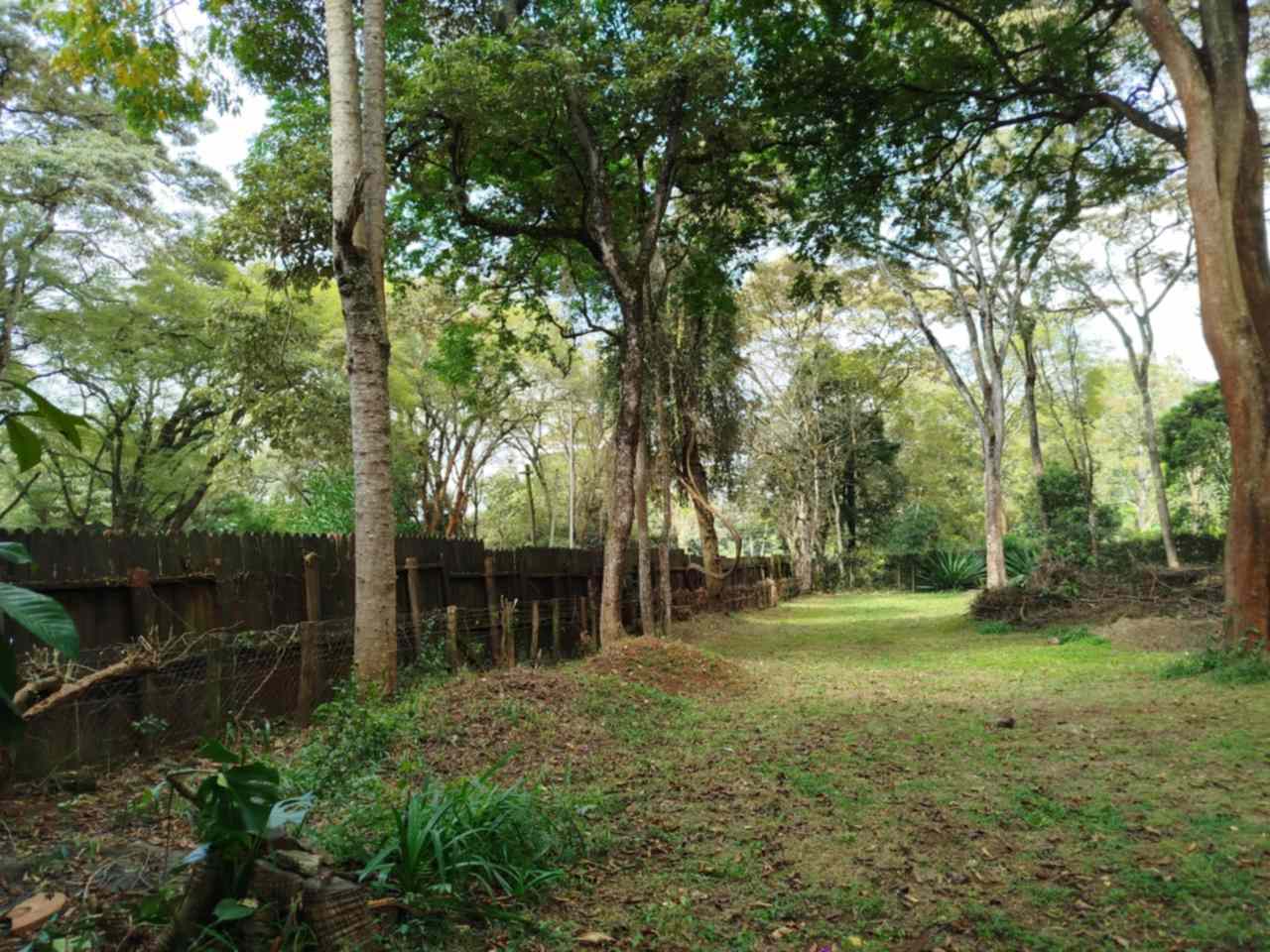 4 acres of land for sale in Karen Image