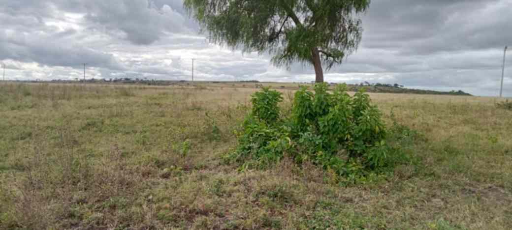 20 ACRES PRIME LAND FOR SALE IN ISINYA, KAJIADO COUNTY Image