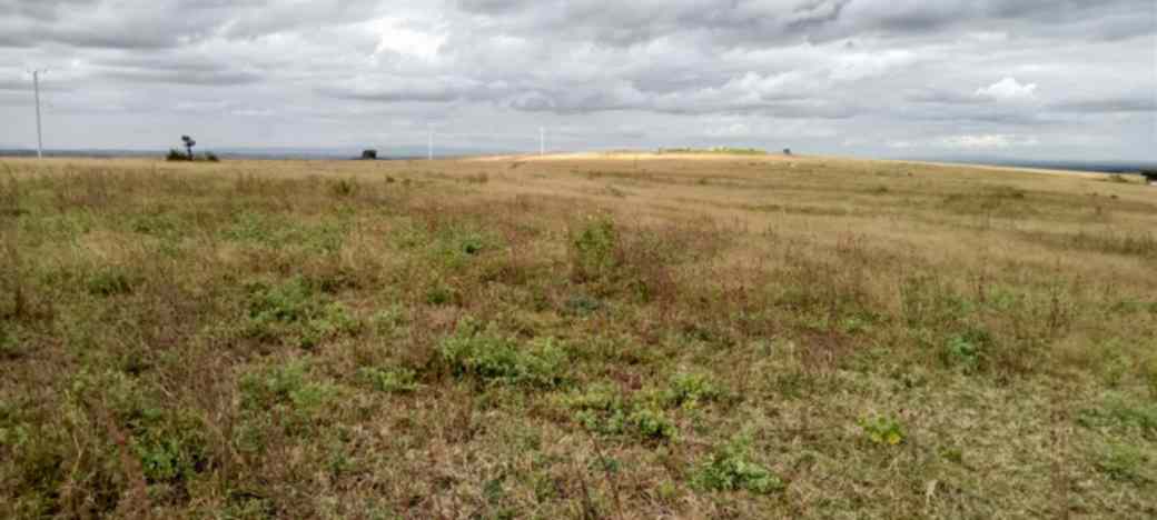 PRIME 5 ACRES FARM LAND FOR SALE IN BISIL, KAJIADO COUNTY Image