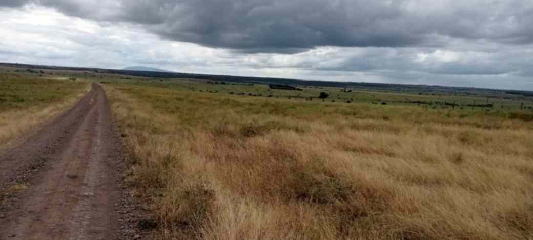 15 ACRES LAND FOR SALE IN ISINYA, KAJIADO COUNTY Image