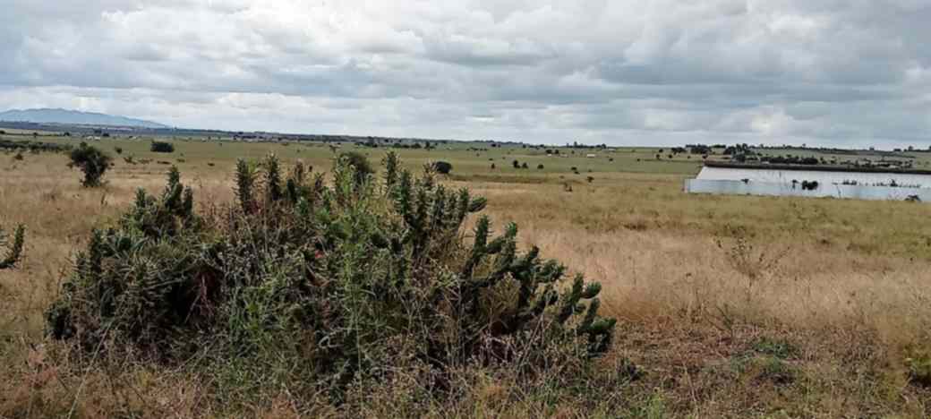 15 ACRES PRIME LAND FOR SALE IN ISINYA, KAJIADO COUNTY Image