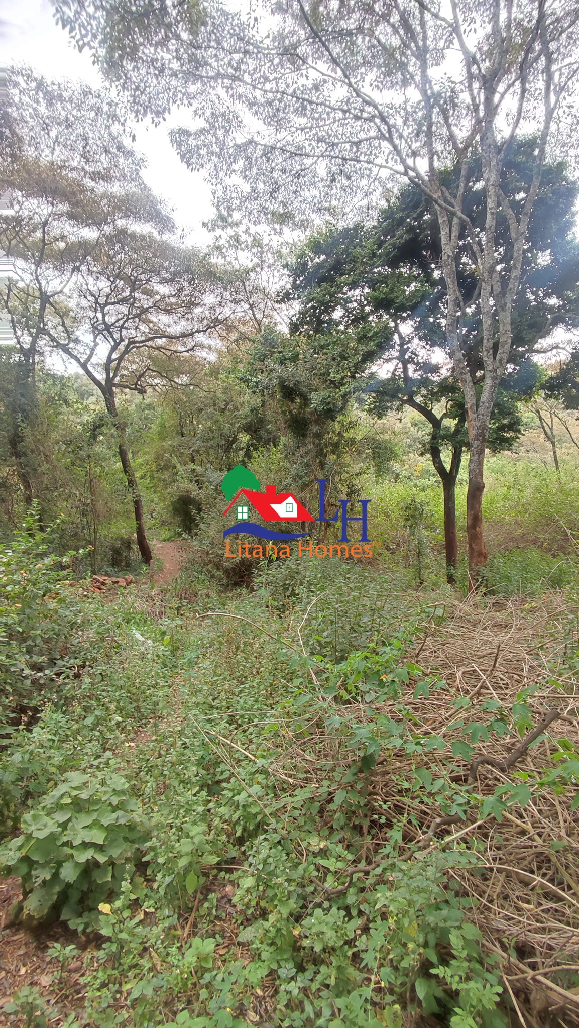 Two Prime 1 Acre Plots For Sale in Karen, Giraffe Centre Image