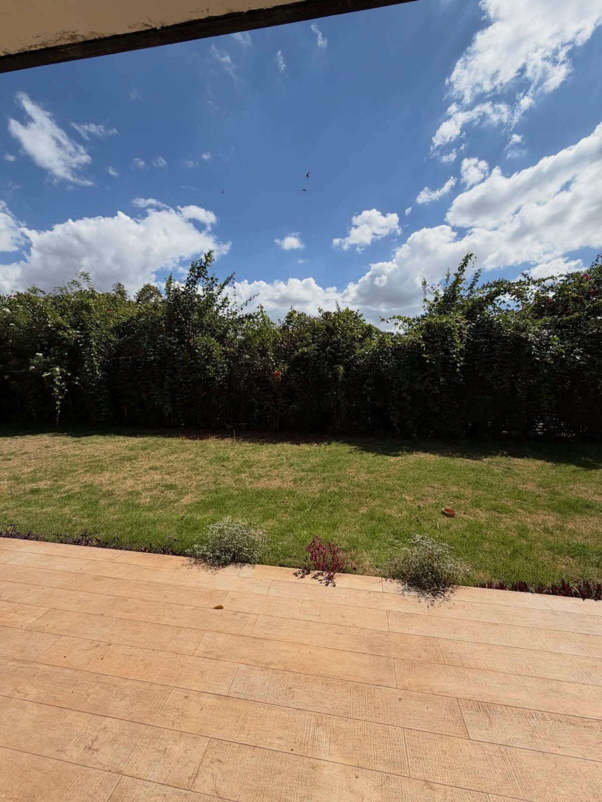 ultra modern 5 bedroom maisonette for rent in lower kabete Image