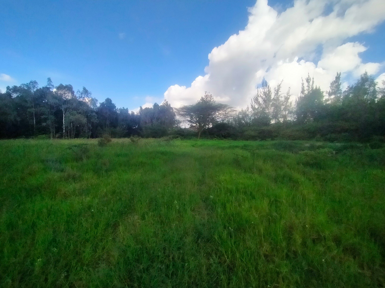 UNDERPRICED ½ ACRE PLOT FOR SALE IN KAREN